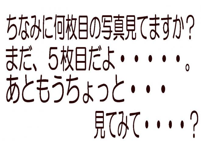 プリウス1.8G　ローンが不安な方＜優遇ローン＞　純正ナビ　ハーフレザー　Bカメラ　ETC 