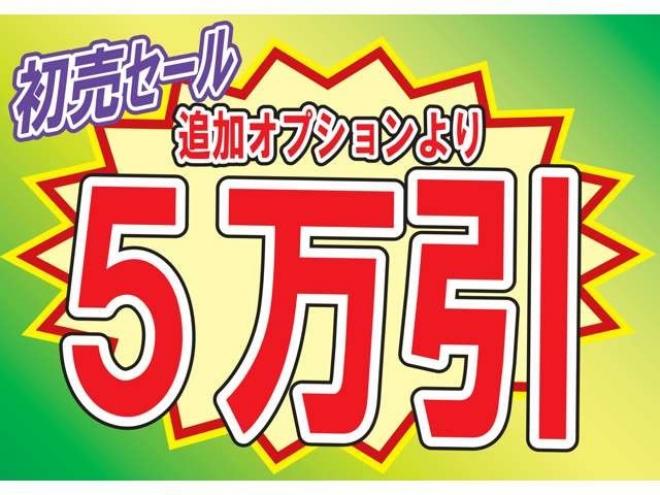 エスティマ2.4 アエラス 4WD　本州仕入 保証1年 Wパワスラ 寒冷地 ナビ 2400