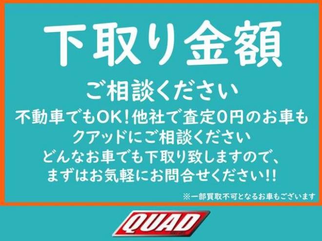 N-BOXG Lパッケージ 4WD　検9/5ナビテレビパワスラ 660