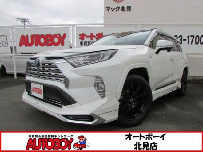 RAV-42.5 ハイブリッド G E-Four 4WD　プリクラッシュセーフティ クルコン 2500