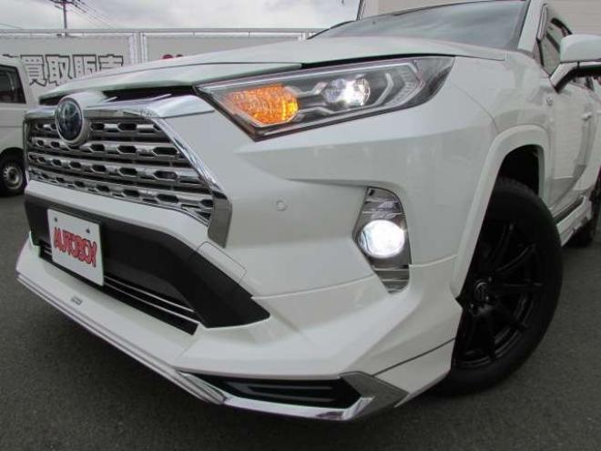 RAV-42.5 ハイブリッド G E-Four 4WD　プリクラッシュセーフティ クルコン 2500