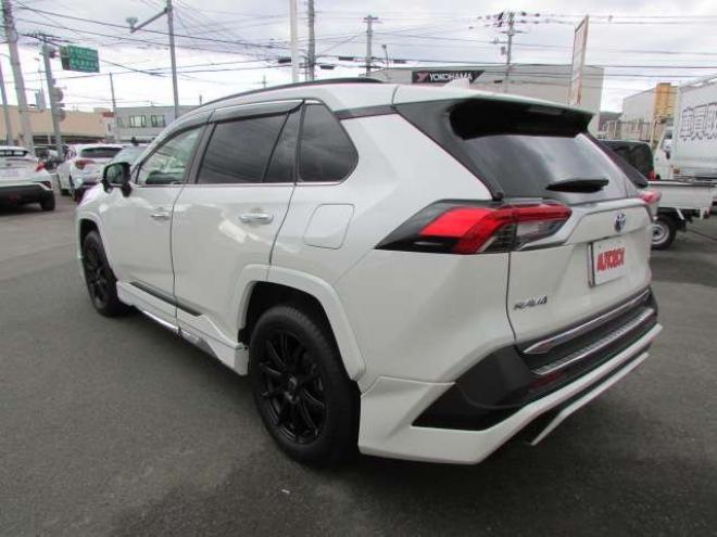 RAV-42.5 ハイブリッド G E-Four 4WD　プリクラッシュセーフティ クルコン 2500