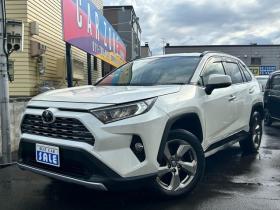 RAV-4　2.0 G 4WD　純正ナビバックモニター　フルセグTV　電動パワーゲート　パワーシート衝突軽減ブレーキ　ステアリングヒーター　ETC 2000