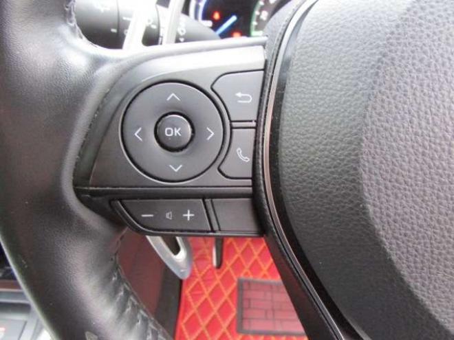 RAV-42.5 ハイブリッド G E-Four 4WD ヒッチメンバー/パワーバックドア/アップサス/モデリスタエアロ/サンルーフ/ビルトインETC/シートヒーター/ステアリングヒーター/フルセグTV/バックカメラ/サイドカメラ/ 2500