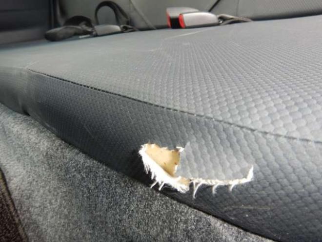 プロボックスバン1.5 DX コンフォート 4WD　 1500