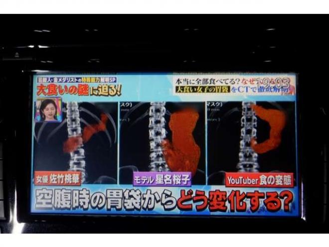 エクストレイル2.0 20X エクストリーマーX エマージェンシーブレーキ パッケージ 2列車 4WD　ナビ・B/T・SR・TV・全方位カメラ・ETC・本州仕入・修復歴無・USB・パワーバックドア・ブラインドスポット・サンルーフ・LEDヘッドライト 2000