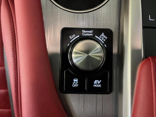 レクサスＲＸ４５０ｈ　Ｆスポーツ　本州仕入　レクサスセーフティセンス　寒冷地仕様　禁煙車　マークレビンソンプレミアム　ヘッドアップディスプレイ　純正２０インチＡＷ　純正１８ＡＷ＋スタッドレスタイヤ付　　電動パノラマルーフ　純正フレアレッドレザーシート　純正ナビ（フルセグ地デジ　Ｂｌｕｅｔｏｏｔｈ対応）＋バックカメラ＋全方位カメラ　パワーバックドア　プリクラッシュセーフティ　レーダークルーズコントロール　シートヒーター　前後ドラレコ　ステアリングヒーター　両席パワーシート　ＥＴＣ 4WD 3500 5Dr