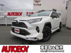 RAV-4　2.5 ハイブリッド G E-Four 4WD　ヒッチメンバー/パワーバックドア/アップサス/モデリスタエアロ/サンルーフ/ビルトインETC/シートヒーター/ステアリングヒーター/フルセグTV/バックカメラ/サイドカメラ/ 2500