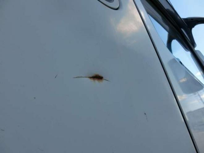 スーパーグレートクレーン付　PJ-FV50JZ　タダノ　 2WD 12880