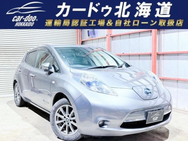 リーフ30kWh X　下廻防錆TVナビBカメETC夏冬タイヤ 2WD 不明