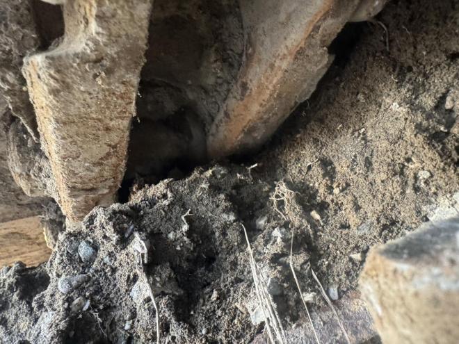 バックホーPC138US-8