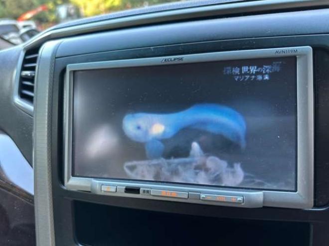 ヴェルファイア2.4 X 4WD　ワンオーナー　パワーウィンドウ　パワステ　社外ナビ　純正アルミ　ABS　キーレス　バックカメラ　左側電動スライドドア　ETC　ワイパーデアイサー 2400