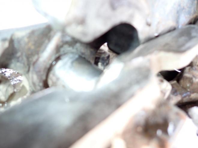 バックホーAX50U-4　回転グラップル付　恵庭ヤード