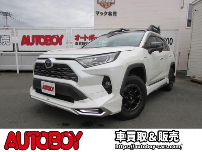RAV-42.5 ハイブリッド G E-Four 4WD　ヒッチメンバー/パワーバックドア/アップサス/モデリスタエアロ/サンルーフ/ビルトインETC/シートヒーター/ステアリングヒーター/フルセグTV/バックカメラ/サイドカメラ/ 2500