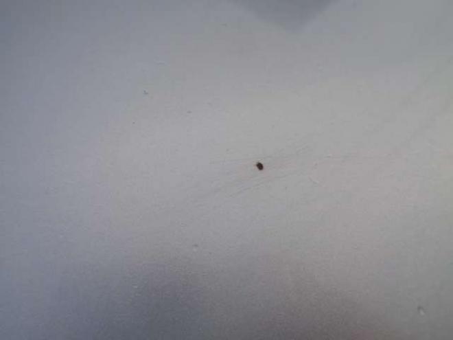 プレオプラス LA 4WD　ワンオーナー　キーレス　純正CDオーディオ　CVT　アイドリングストップ 660