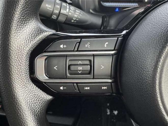 スペーシアハイブリッド X 4WD　純正ナビ　LEDヘッドライト　デュアルセンサーブレーキサポート　横滑り防止装置　両側電動スライドドア 660