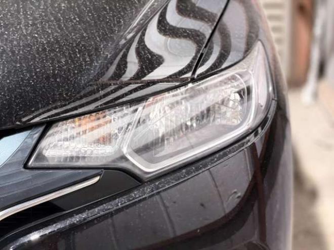 フィット1.3 13G Fパッケージ 4WD　防錆塗装4WDスマキーナビETC 1300