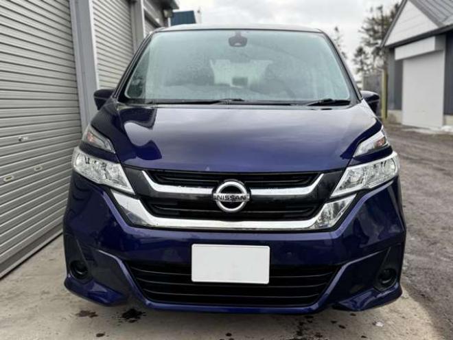 セレナ2.0 X Vセレクション 4WD　ナビ　TV　全周囲カメラ　ETC　両側Pスライド 2000