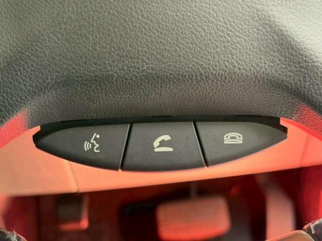 デリカD：5 2.4 シャモニー 4WD　両側電動スライドドア　クルーズコントロール　TV　ナビ　バックカメラ　パワステ　パワーウィンドウ　盗難防止装置　横滑り防止装置　キーレスエントリー　寒冷地仕様 2400