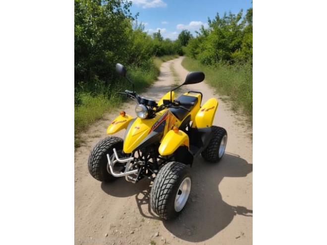 ATV サン自動車デザートキャット50
ミニカー登録可！