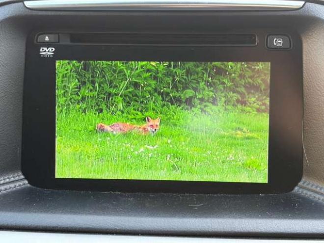 CX-52.2 XD Lパッケージ ディーゼルターボ 4WD　DVD・地デジ・BOSEサウンド・9スピーカー・ETC・ドラレコ・19インチAW 2200