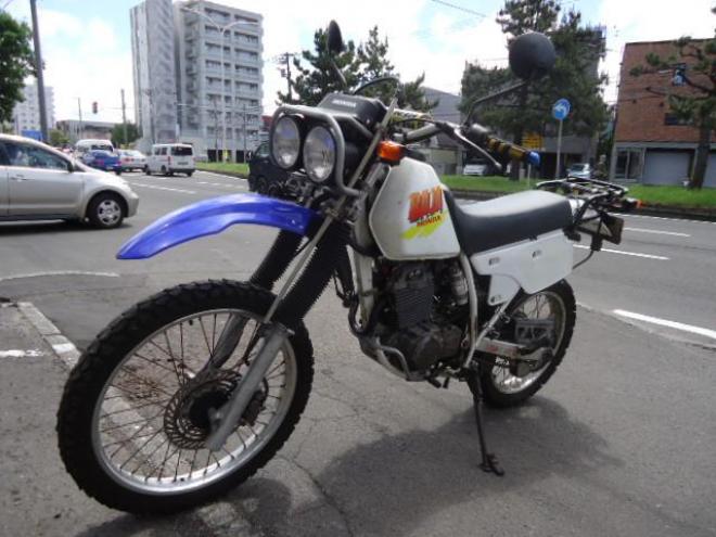 HONDAＸＬＲ250　ＢＡＪＡ　（バハ） 250